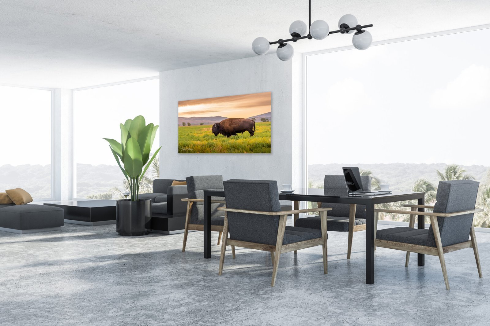 Photography Wall Decor