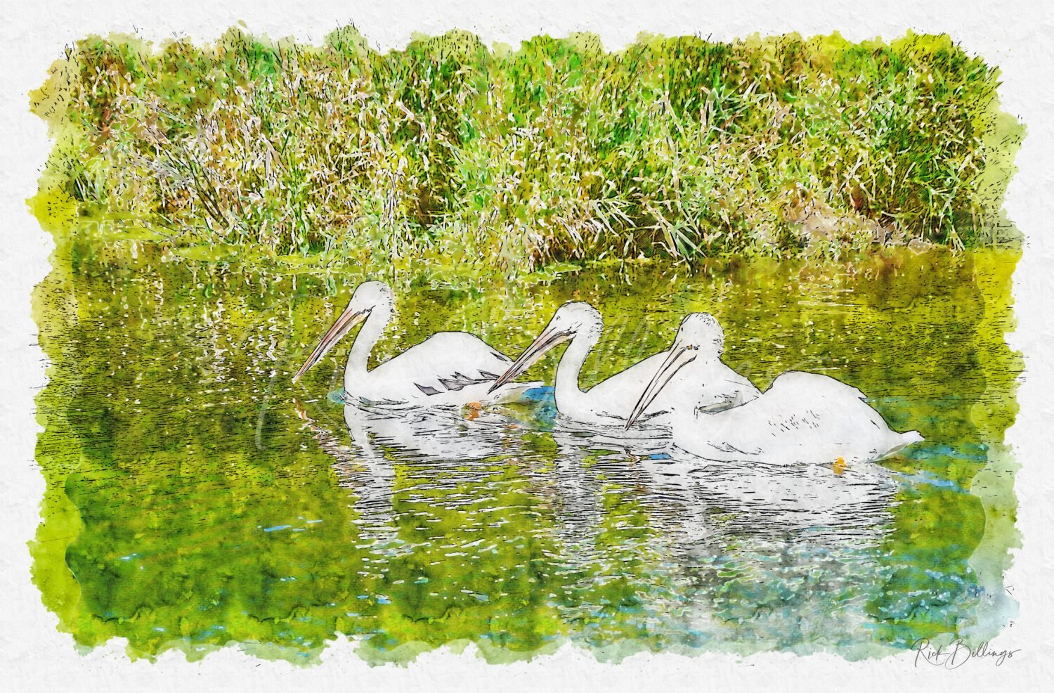 [1129] Wildlife Safari, Ashland, Nebraska