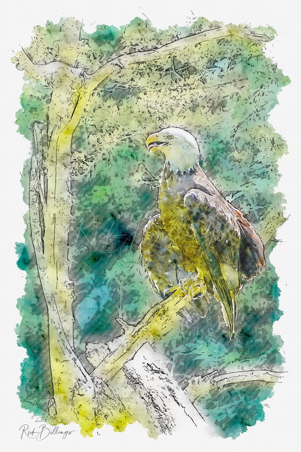 [1130] Eagle, Ashland, Nebraska