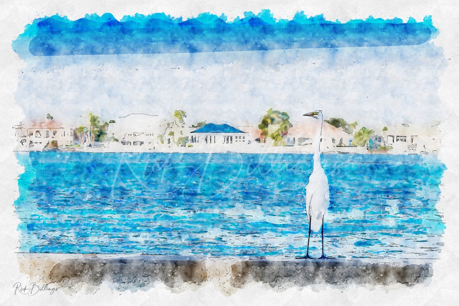 [1142] St. Petersburg, FL