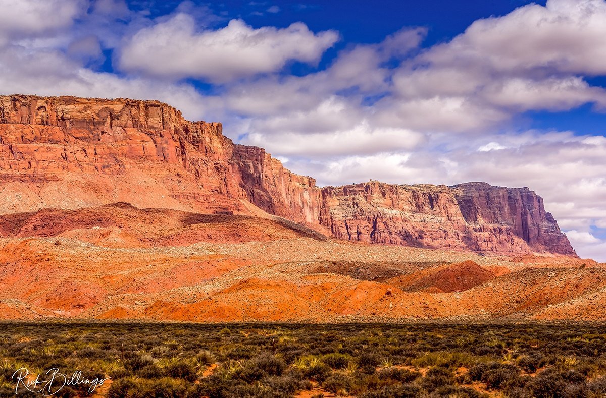 1262 Page Arizona