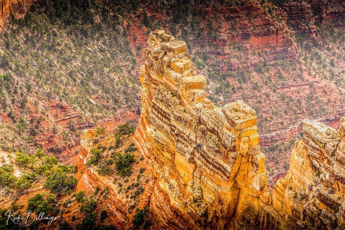 1309-Grand-Canyon-North-Rim