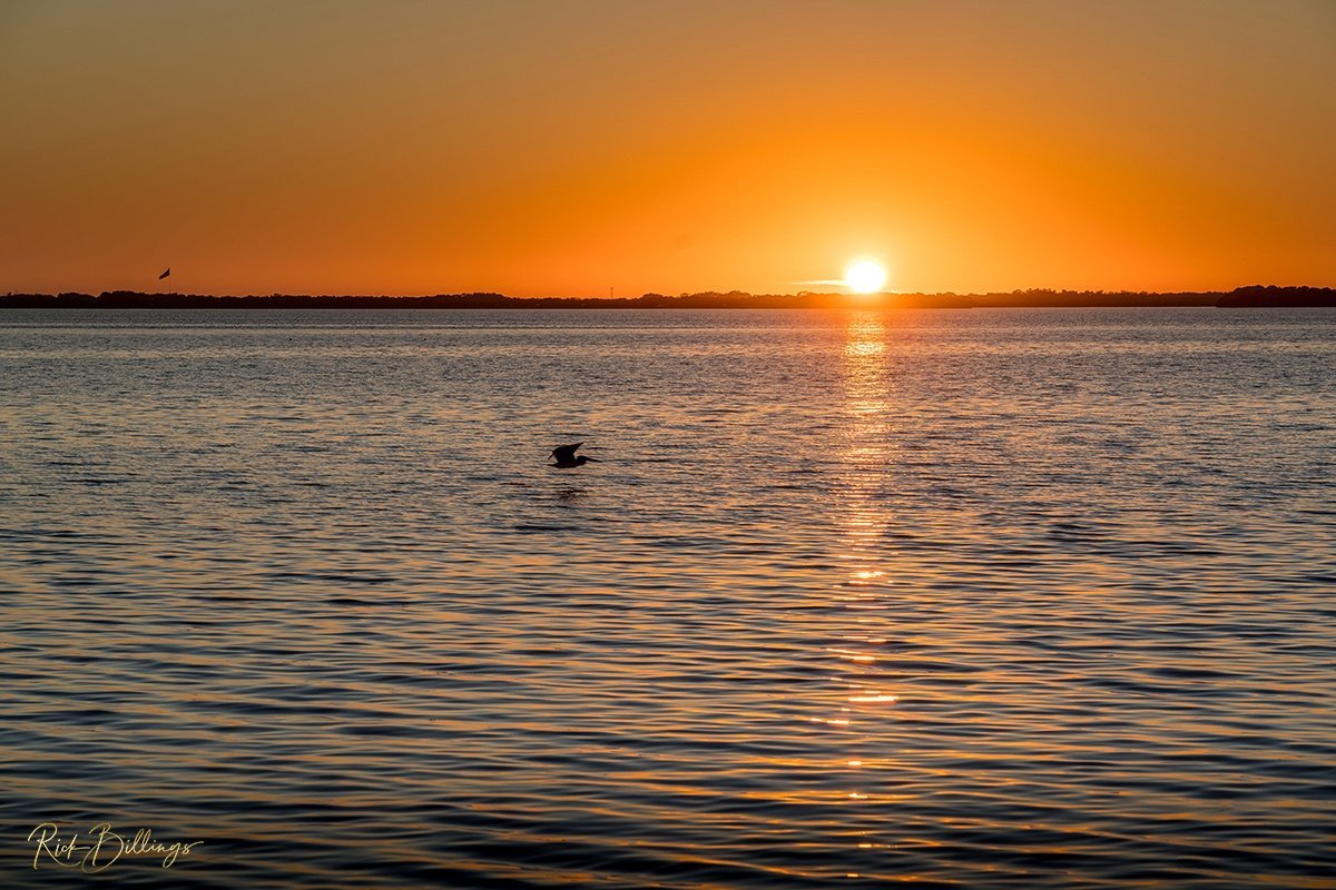 1347-Sunset-Flight-Tampa-Bay