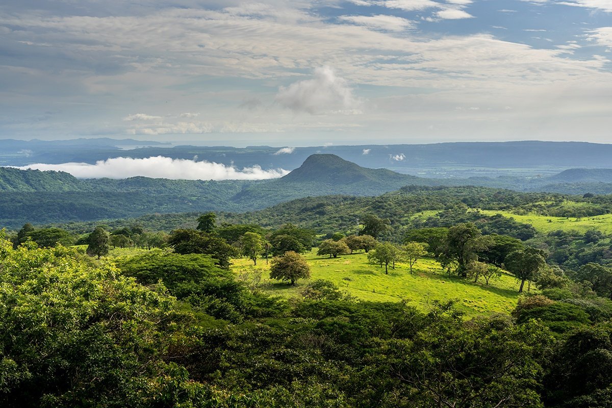 1500 Costa Rica Plains