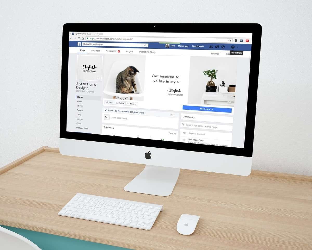 facebook algorithm