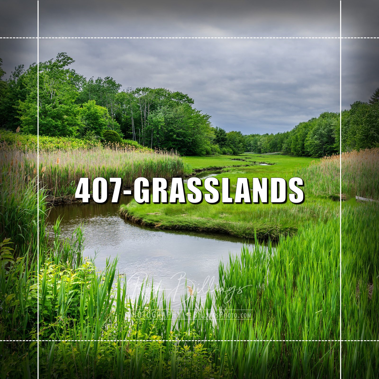 407 GRASSLANDS 1 scaled