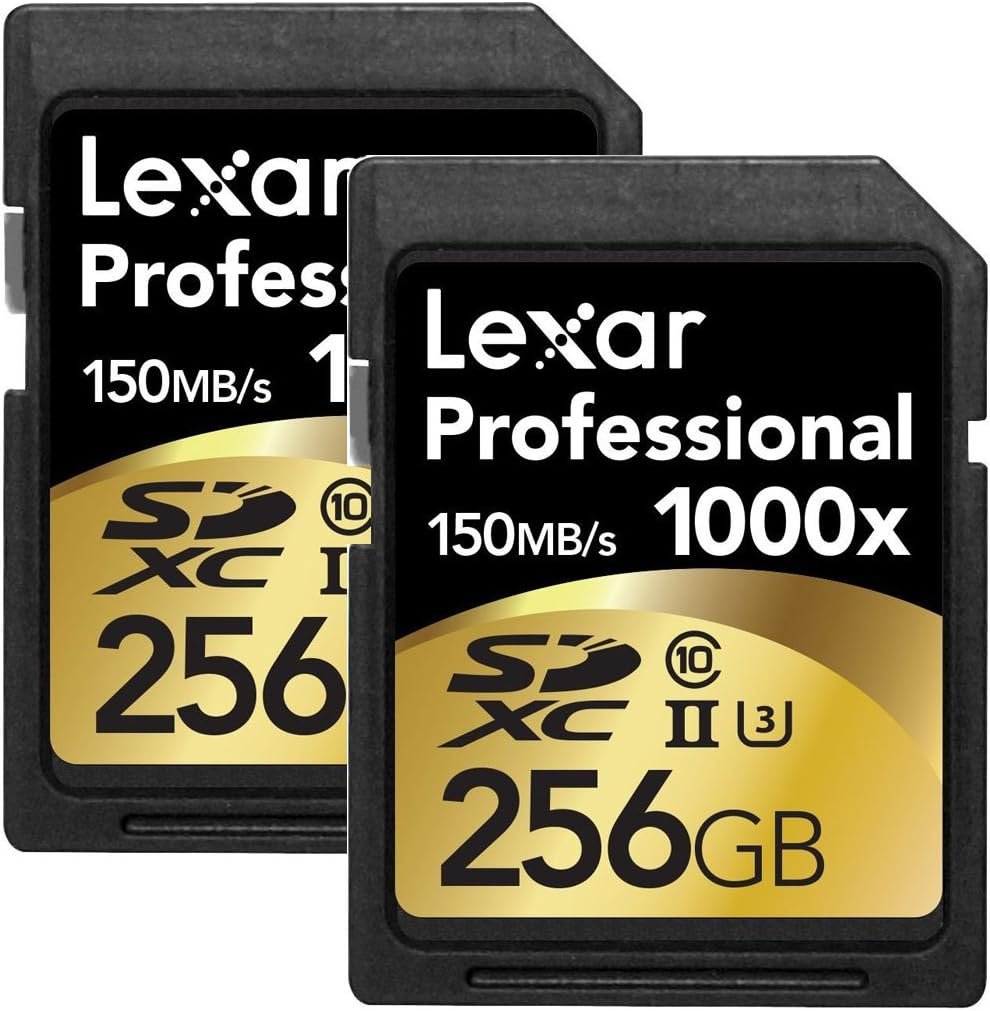 SD Lexar Cards
