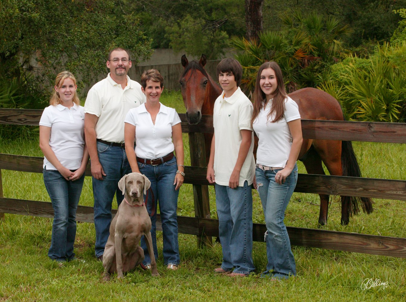 Story 2029 Horse from 2026