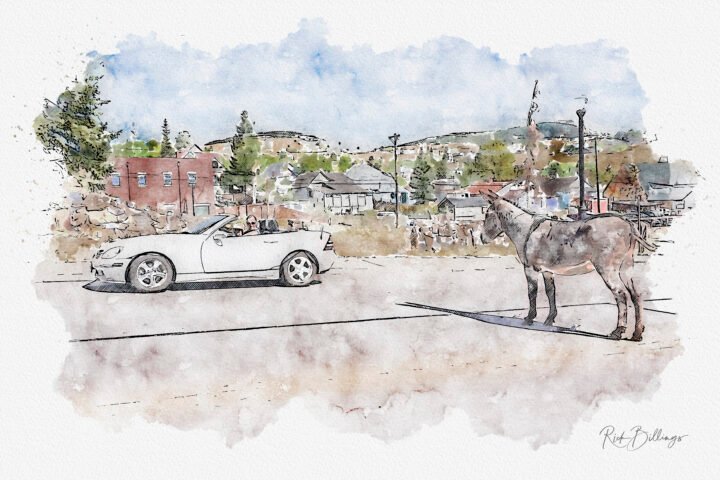 1135-Cripple-Creek-CO