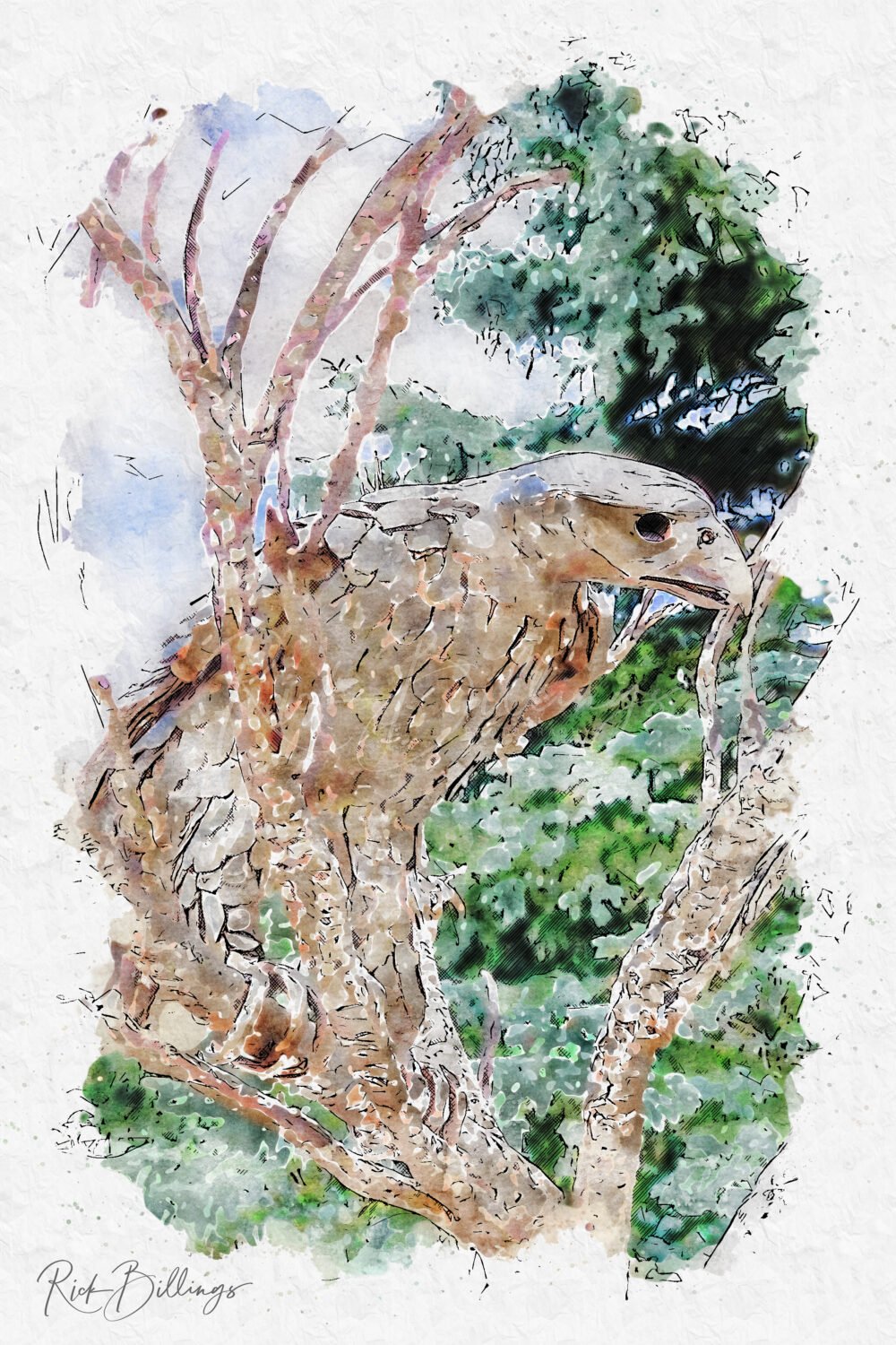 1153-Air-Force-Academy