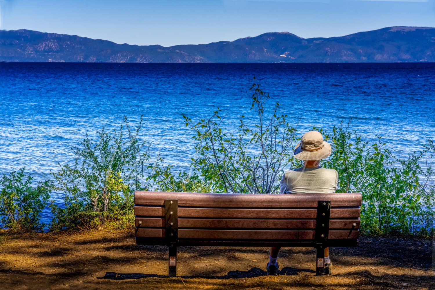 1258-Lazy-Day-at-Lake-Tahoe