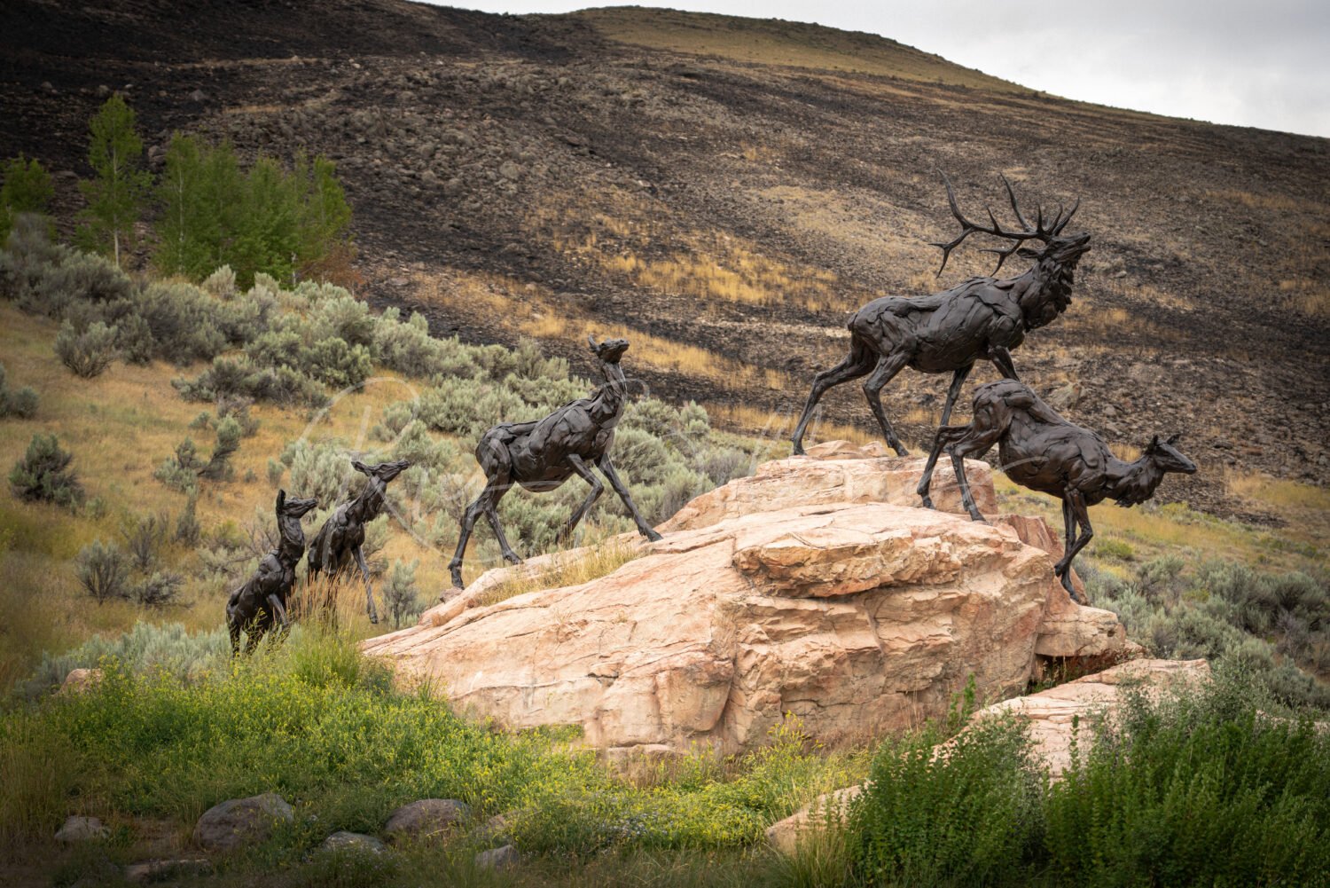 1516-Bart-Walters-Wapiti-Trail-Jackson-WY