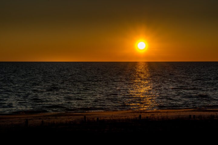 1169-Gulf-Coast-Mississippi