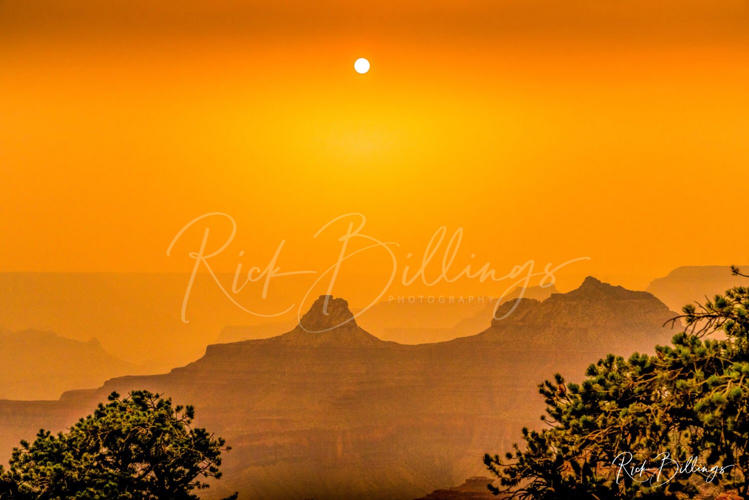 1308-Sunset-in-the-Grand-Canyon-North-Rim