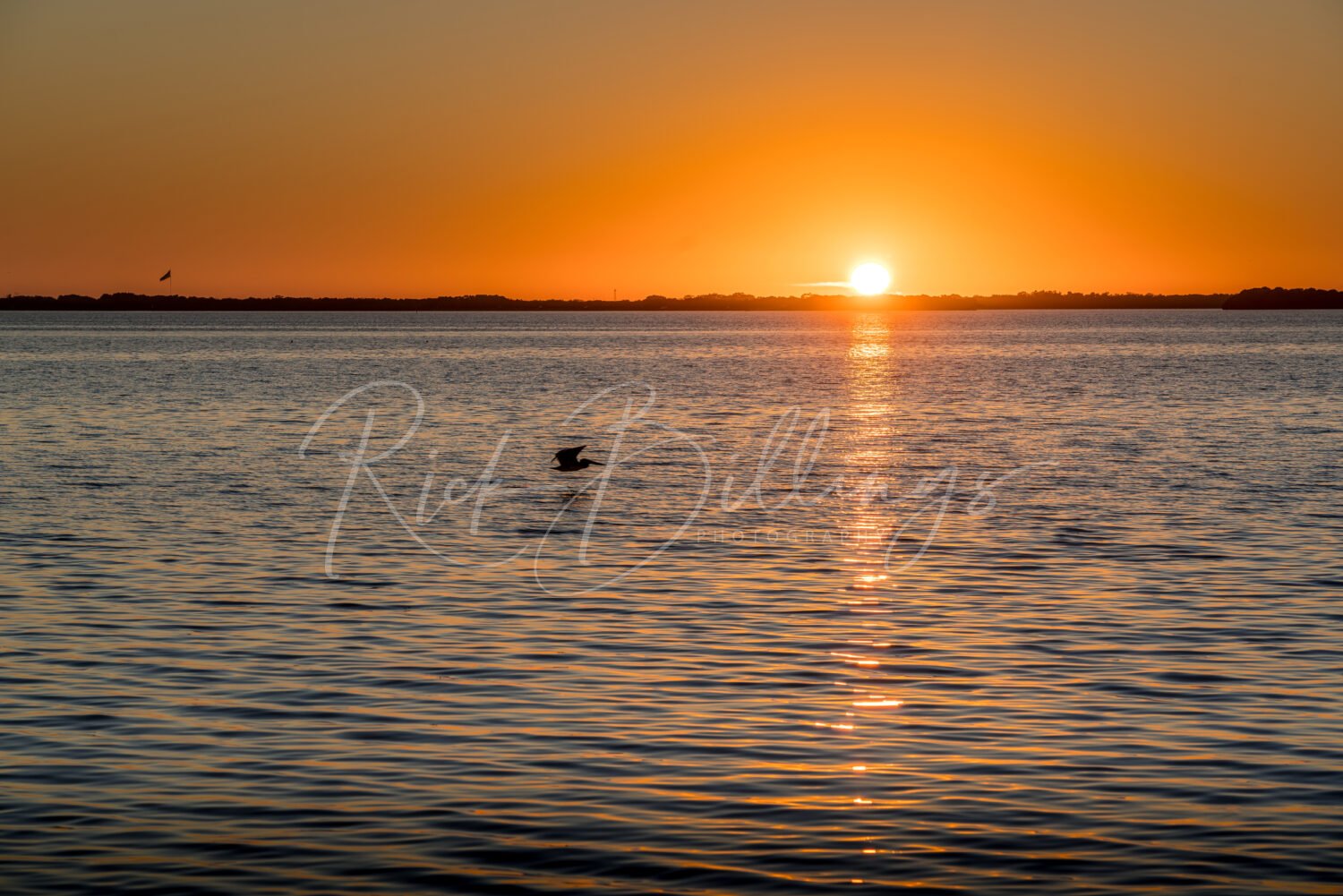 1347-Sunset-Flight-Tampa-Bay