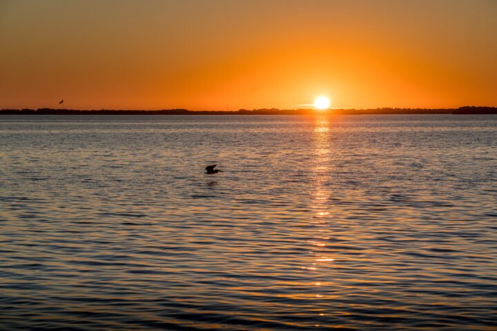 1347-Sunset-Flight-Tampa-Bay