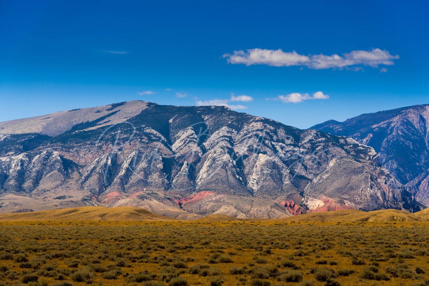 1021-Clarks-Fork-Cody-Wyoming