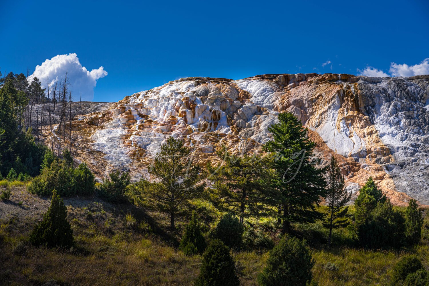1028-Mammoth-Hot-Springs