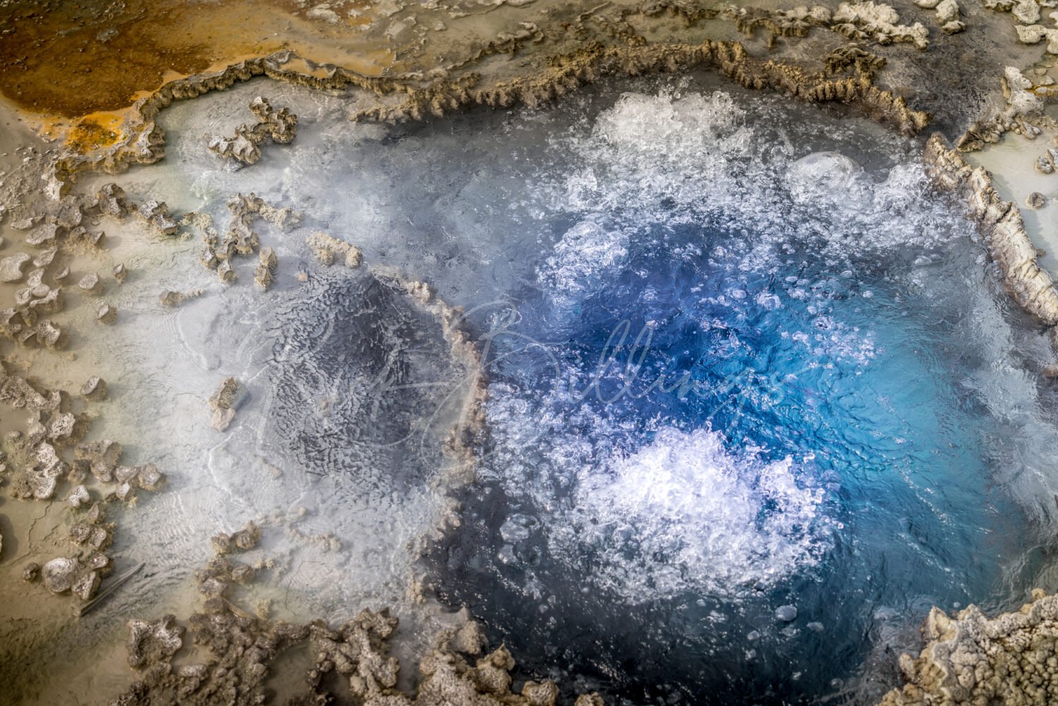 1033-Blue-Star-Springs