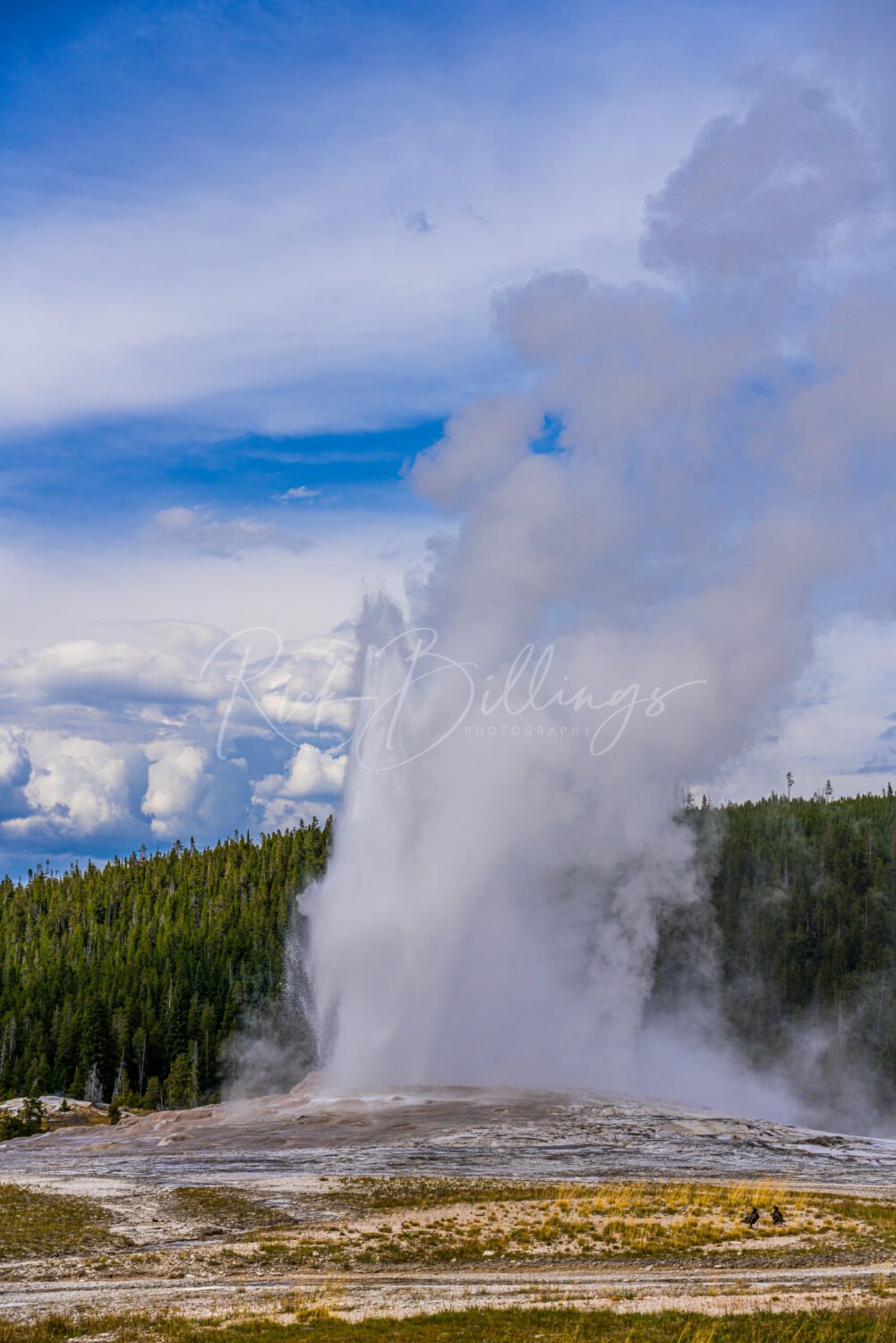1045-Old-Faithful