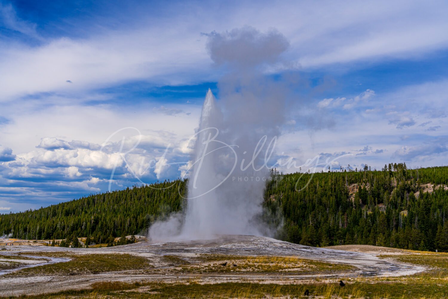1047-Old-Faithful