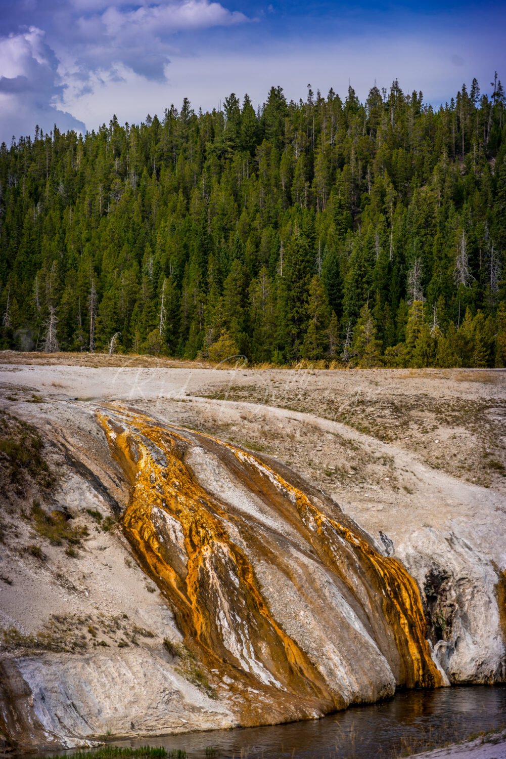 1049-Yellowstone