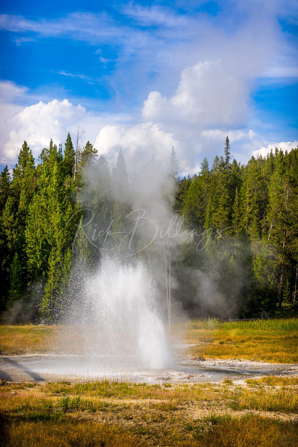 1050-Yellowstone-Aurum-Geyser