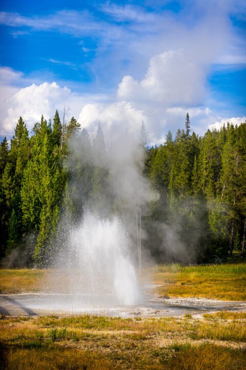 1050-Yellowstone-Aurum-Geyser