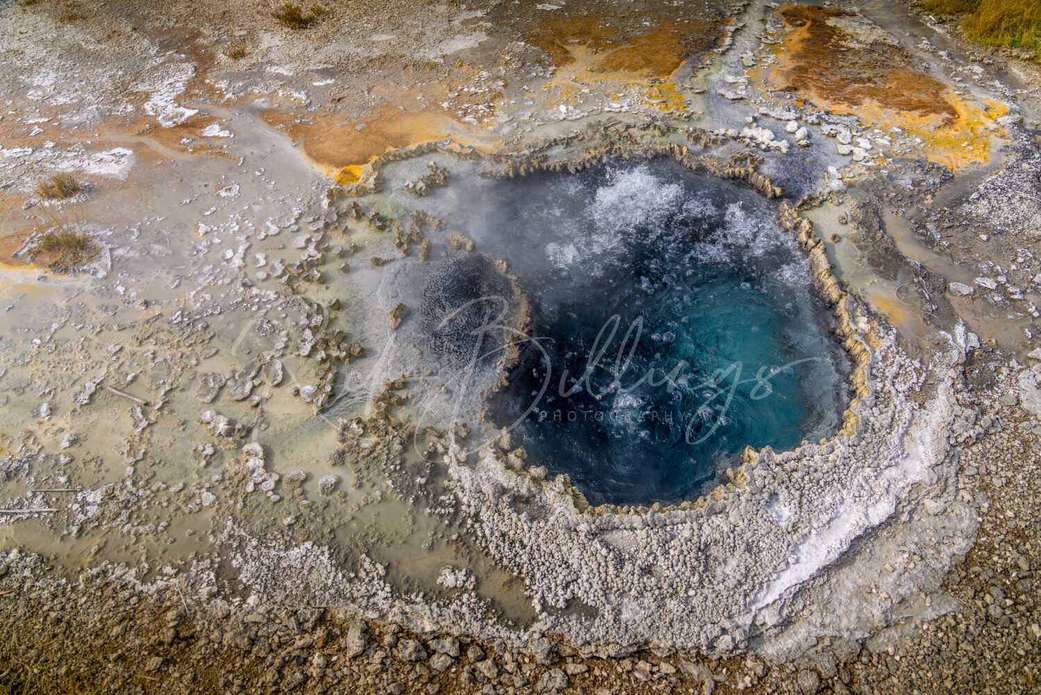 1052-Yellowstone-Geyser