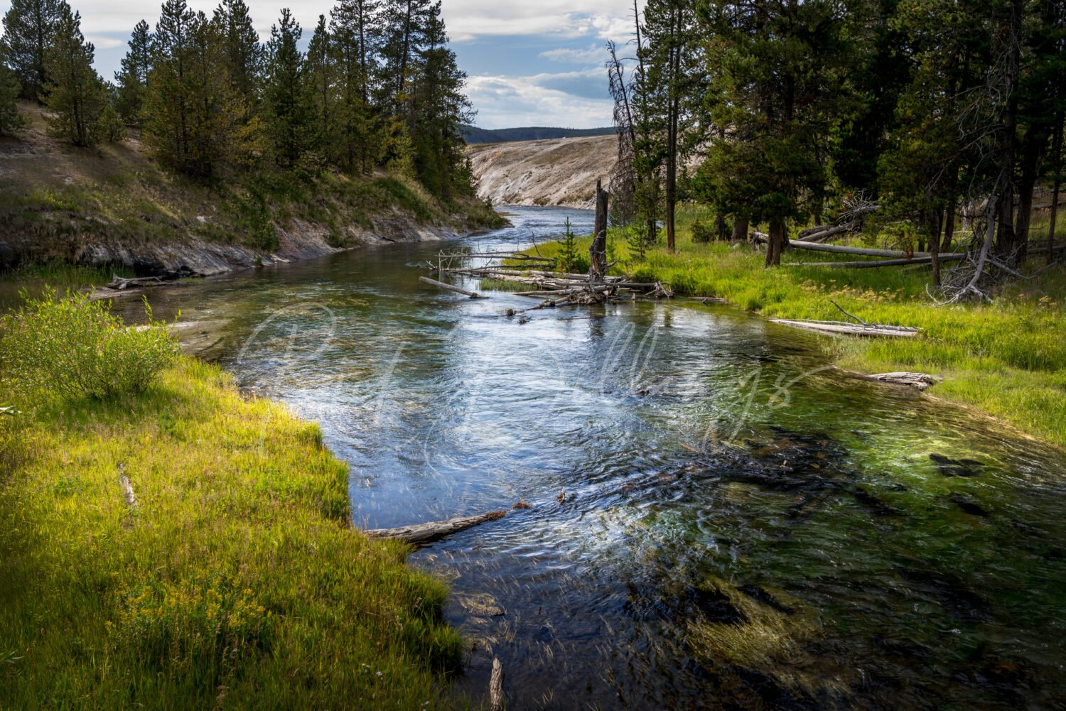 1054-Yellowstone-River