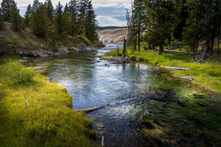 1054-Yellowstone-River