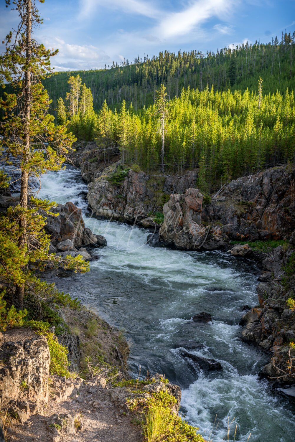 1056-Yellowstone-River