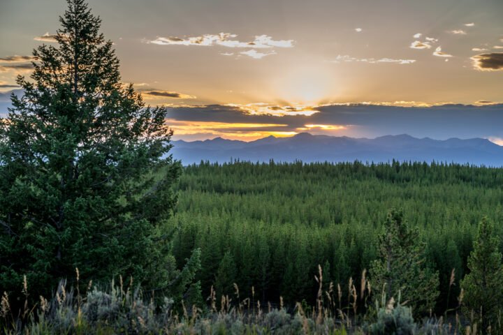 1057-Yellowstone-Sunset