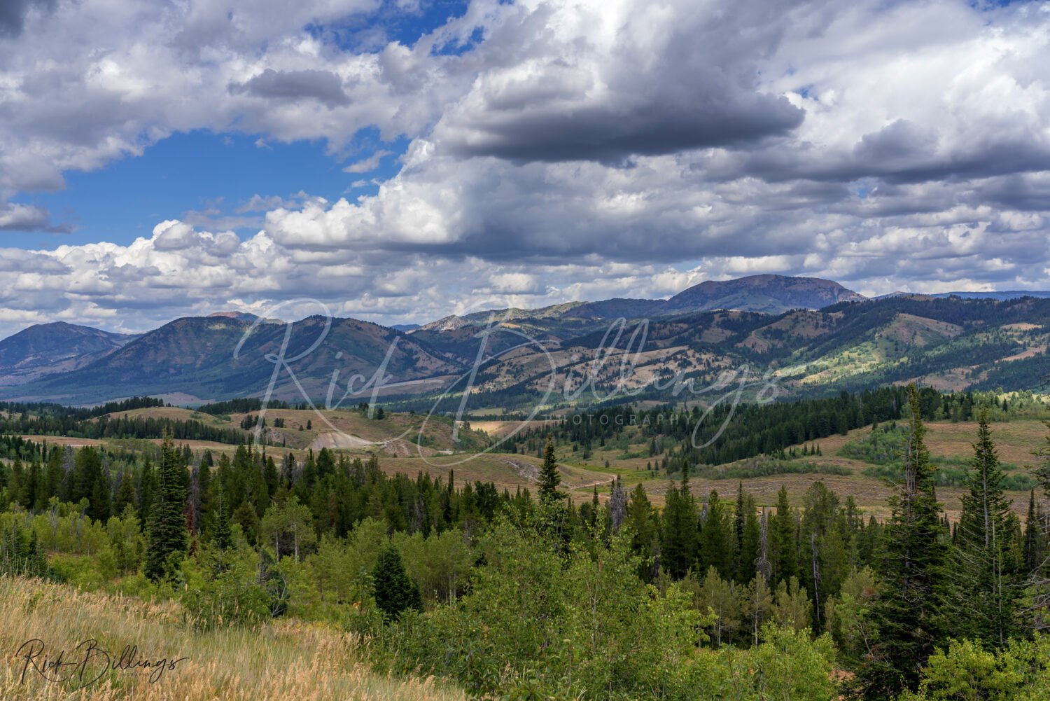 1064-Jackson-WY-Scenic
