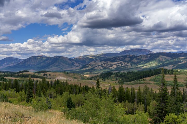 1064-Jackson-WY-Scenic