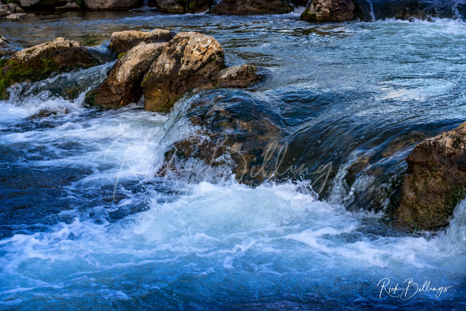 1092-Black-Hills-Stream-LOGO