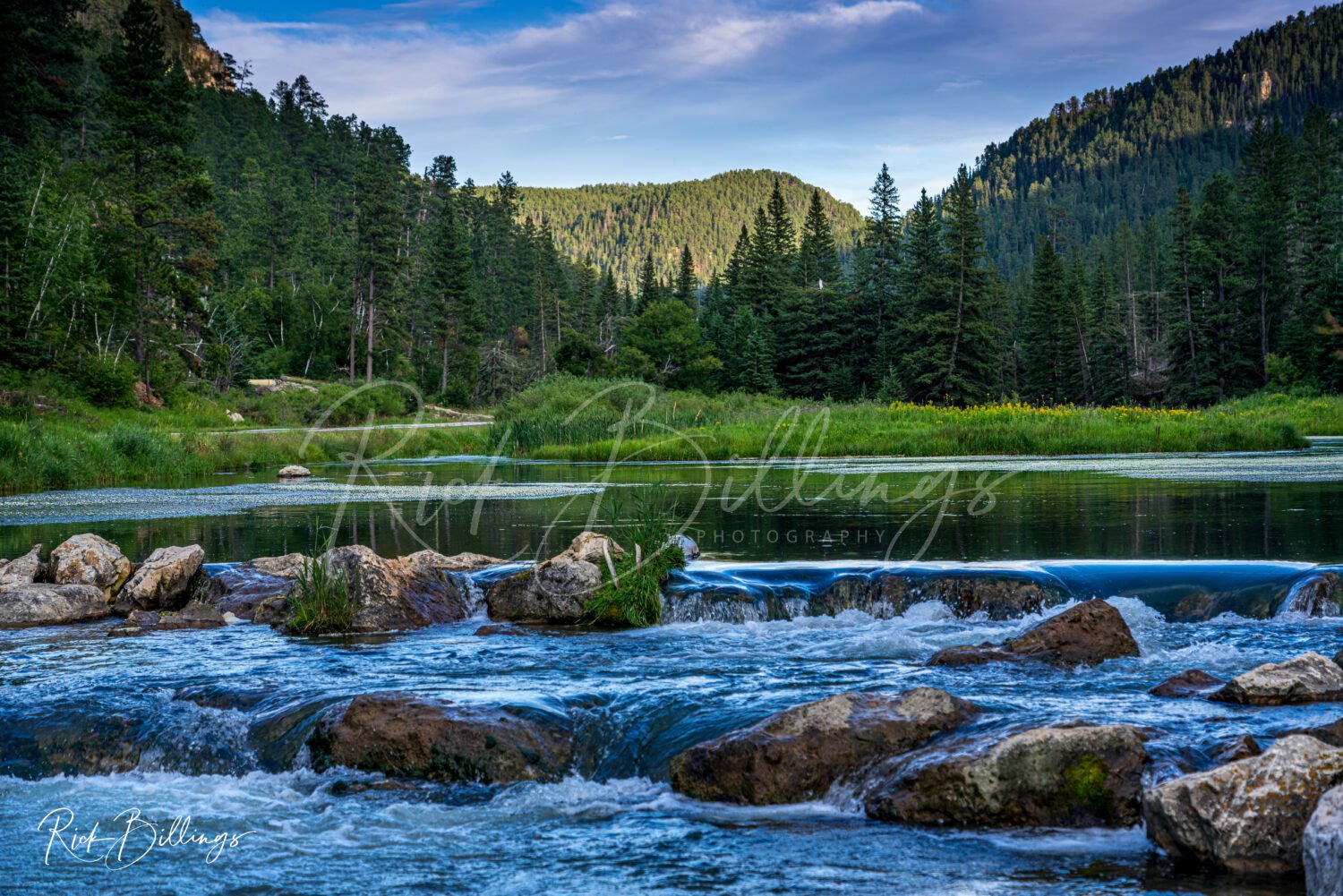 1096-Black-Hills-Stream-LOGO