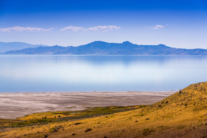 1113-Farmington-Bay-Utah