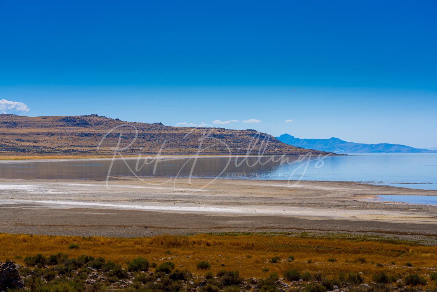 1115-Farmington-Bay-Utah