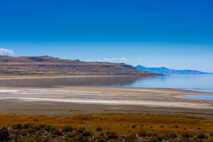 1115-Farmington-Bay-Utah