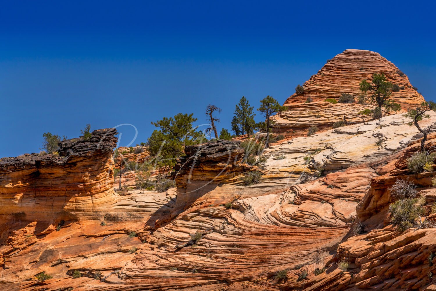 1161-Zion-National-Park-Utah