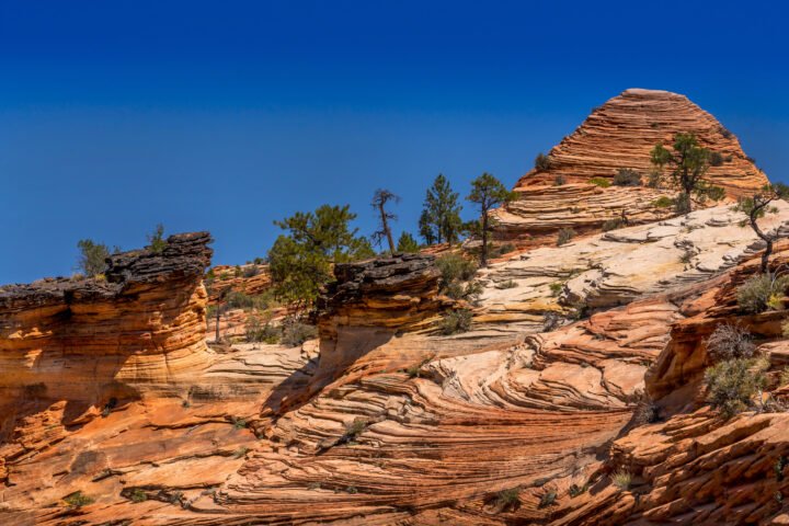 1161-Zion-National-Park-Utah