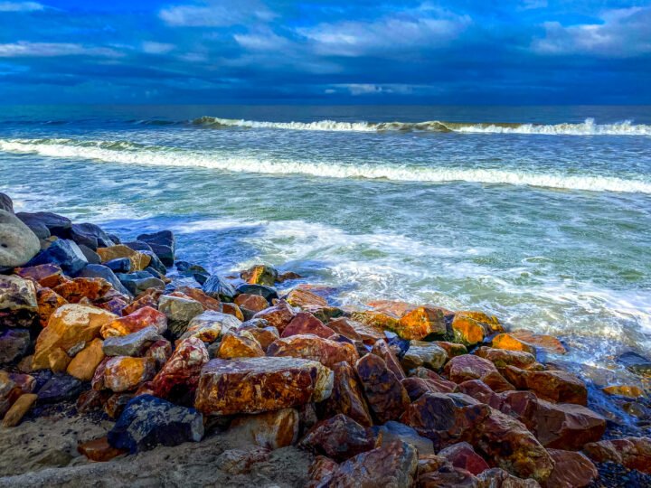 1195-Carlsbad-California