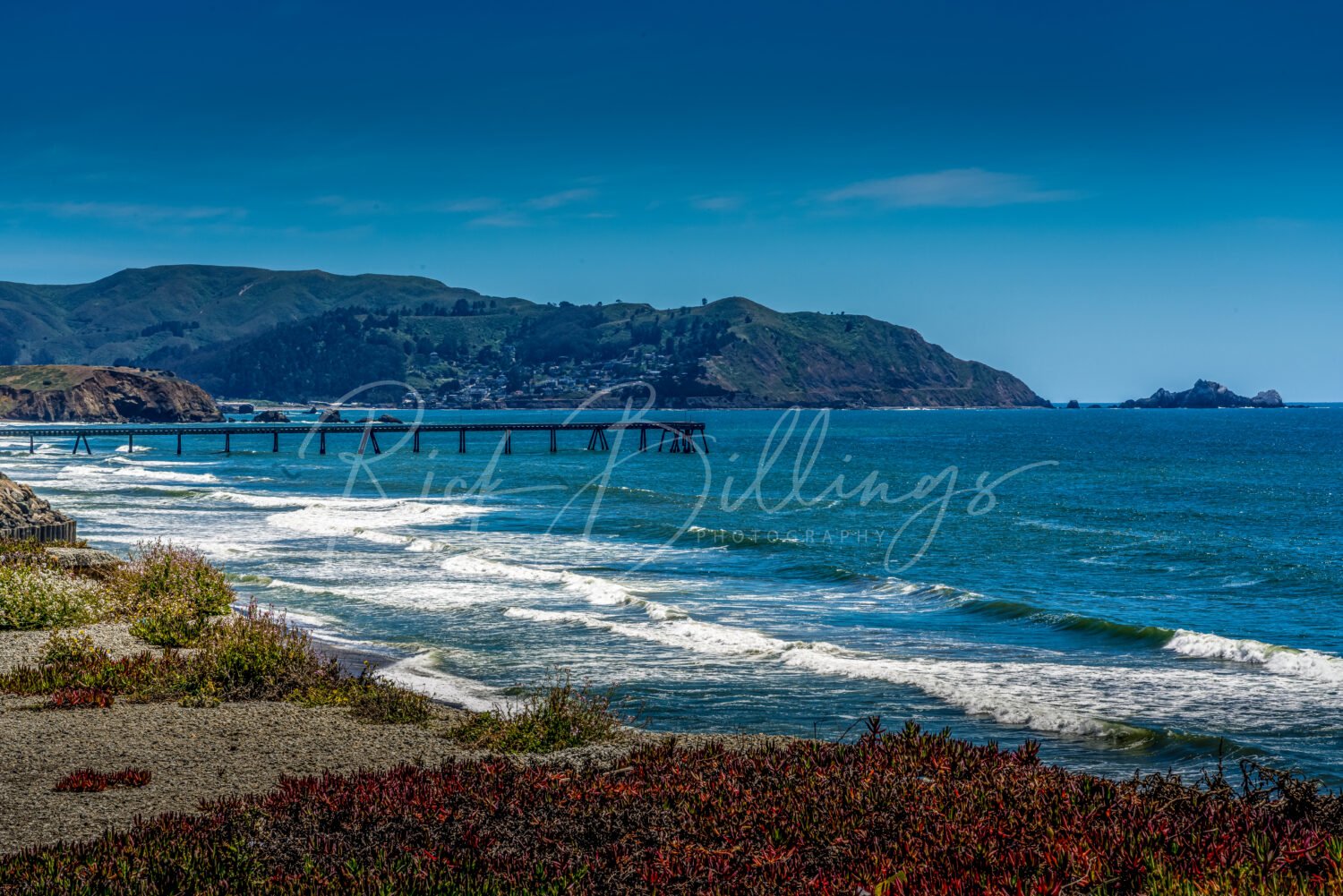 1203-Pacificia-California-Coast
