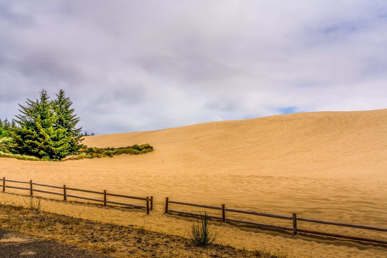 1239-Oregon-Dunes