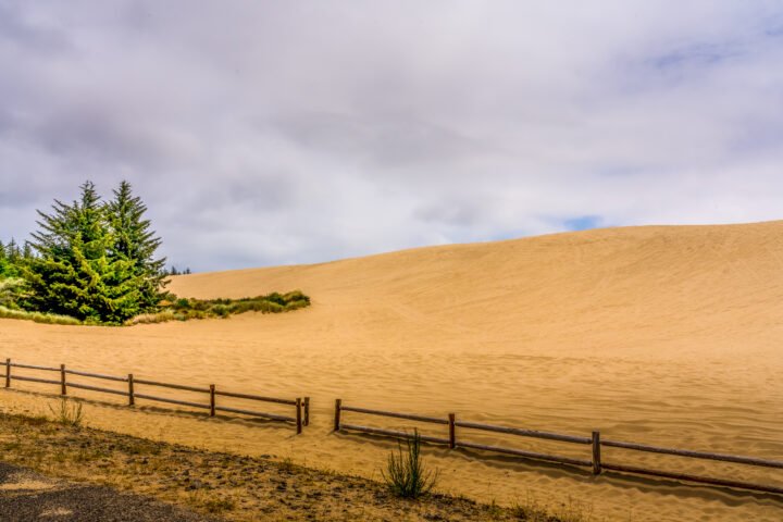 1239-Oregon-Dunes