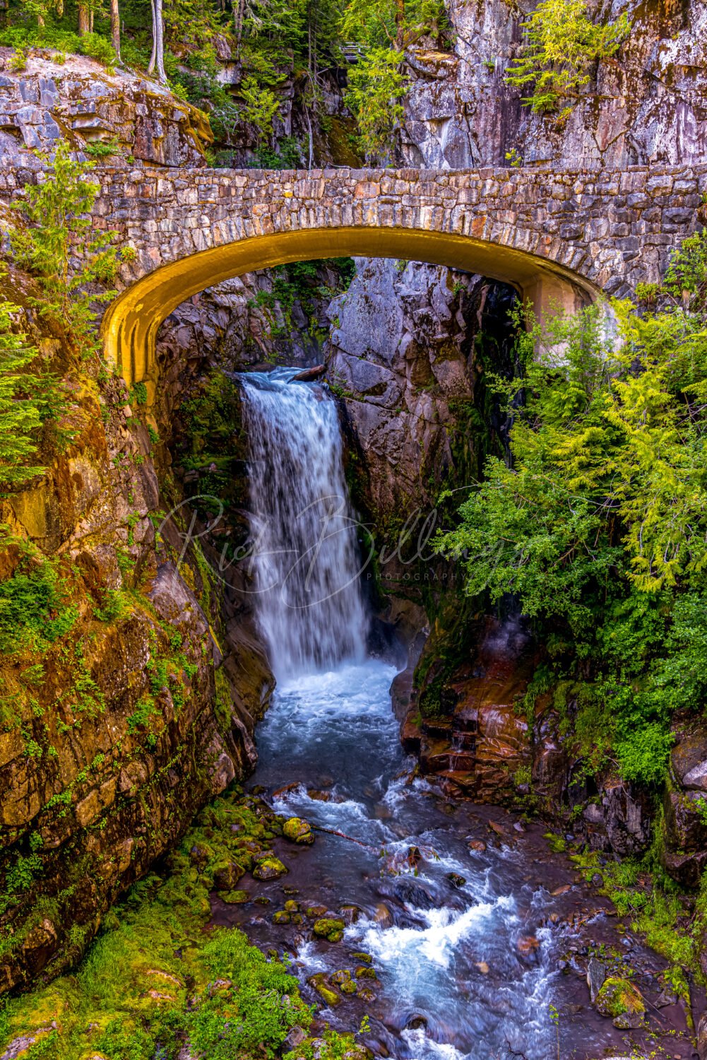1244-Mt-Rainier-Washington-Falls