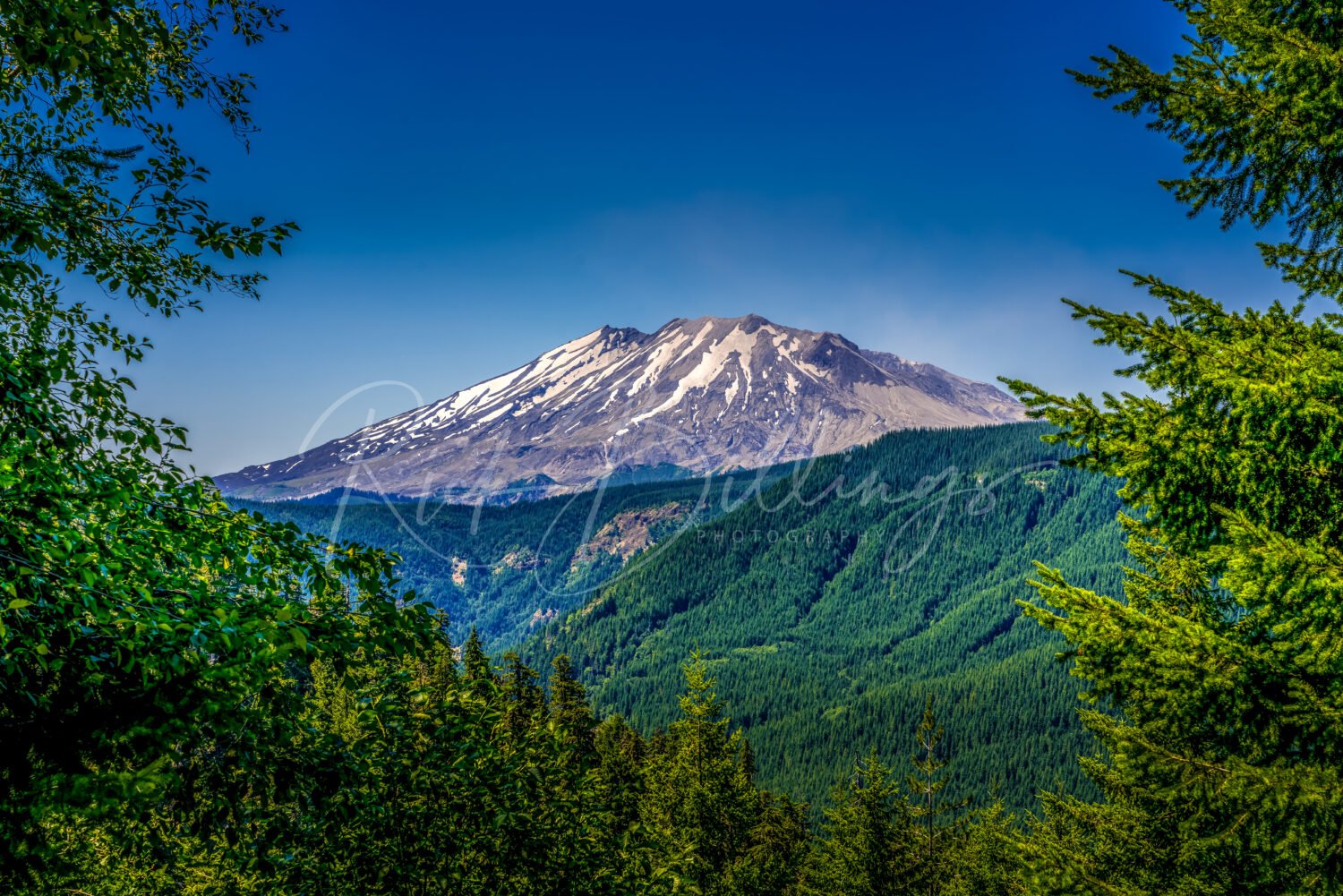 1251-Mt-Rainier-Washington