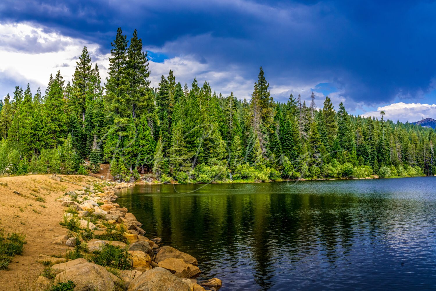 1253-Snowflower-RV-Reno