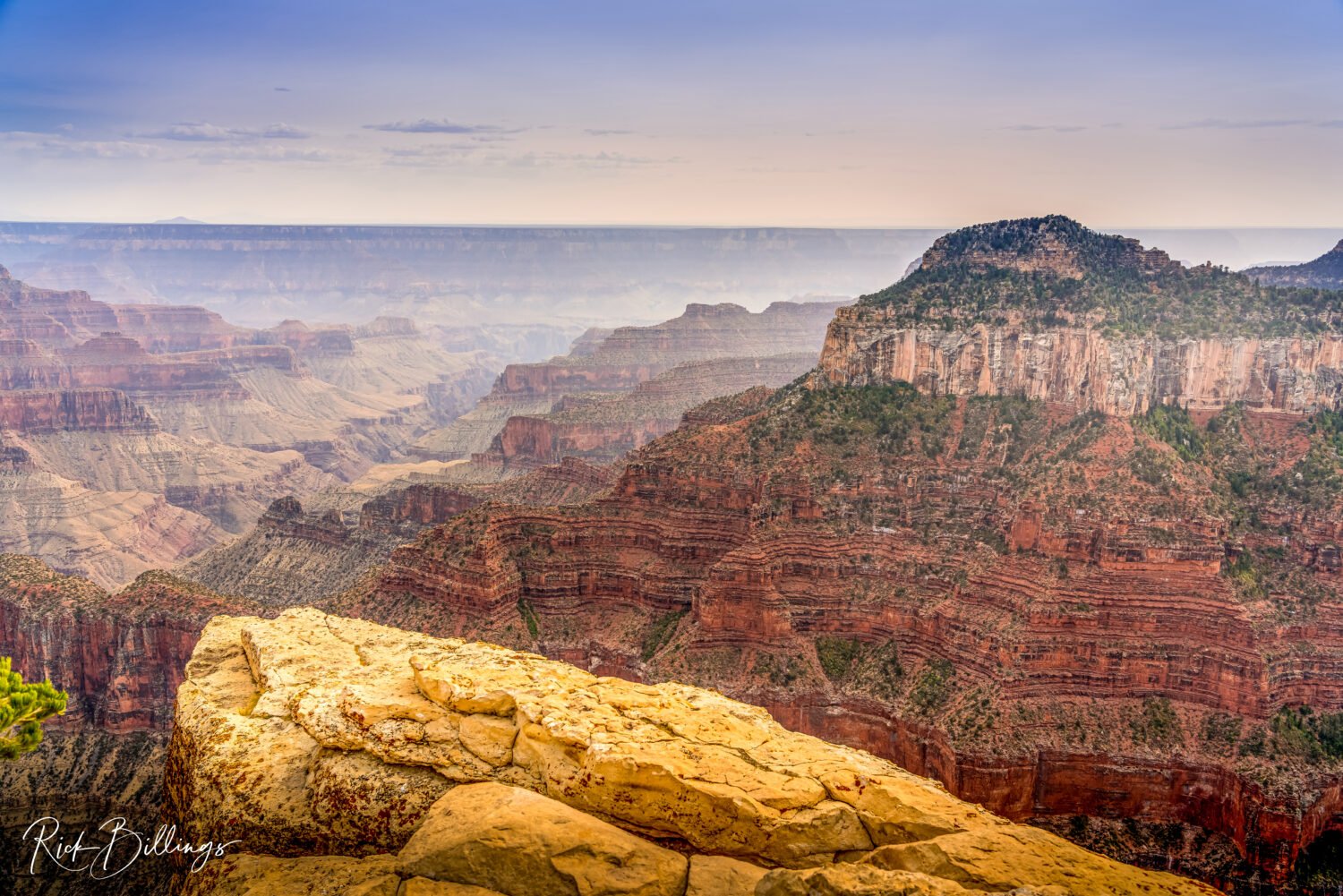 1289-Grand-Canyon-North-Rim